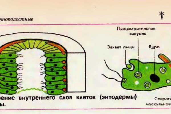 Кракен гидра даркнет