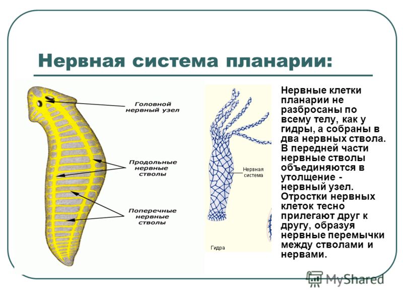 Что продают на кракене